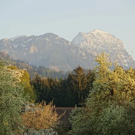 Gaestehaus Funk Guest house 3*